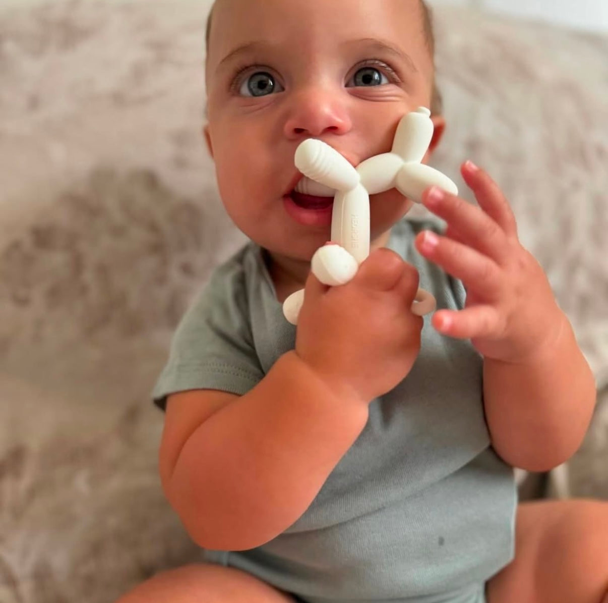 Puppy Teether (Rosa)