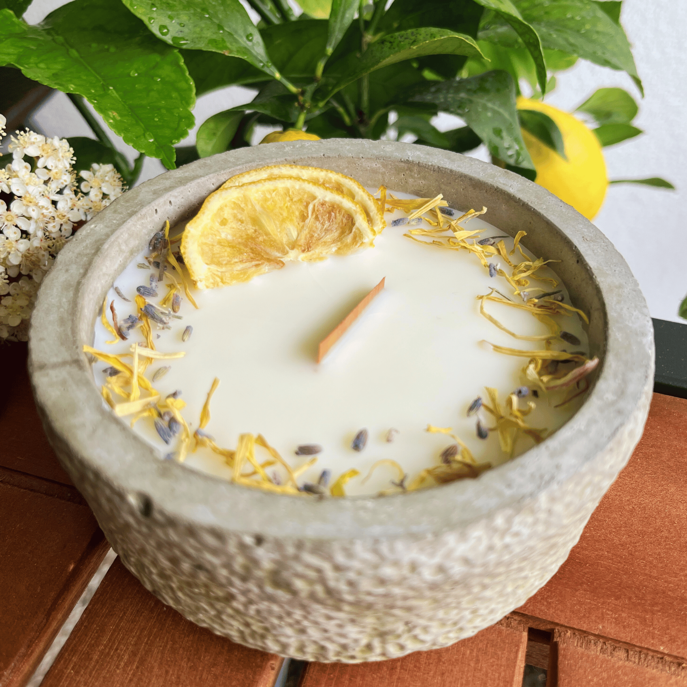 Limitierte Einzelstücke: Outdoor Citronella-Betonkerze – Nr. 3