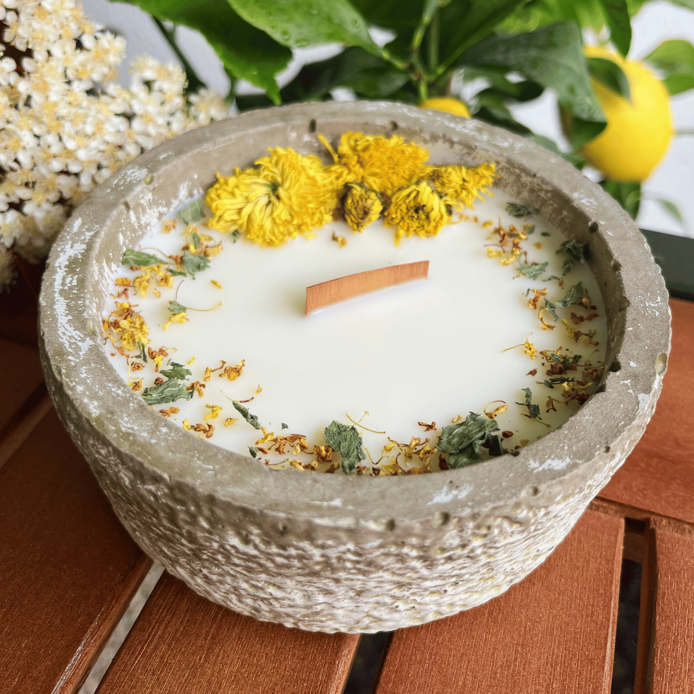 Limitierte Einzelstücke: Outdoor Citronella-Betonkerze – Nr. 6
