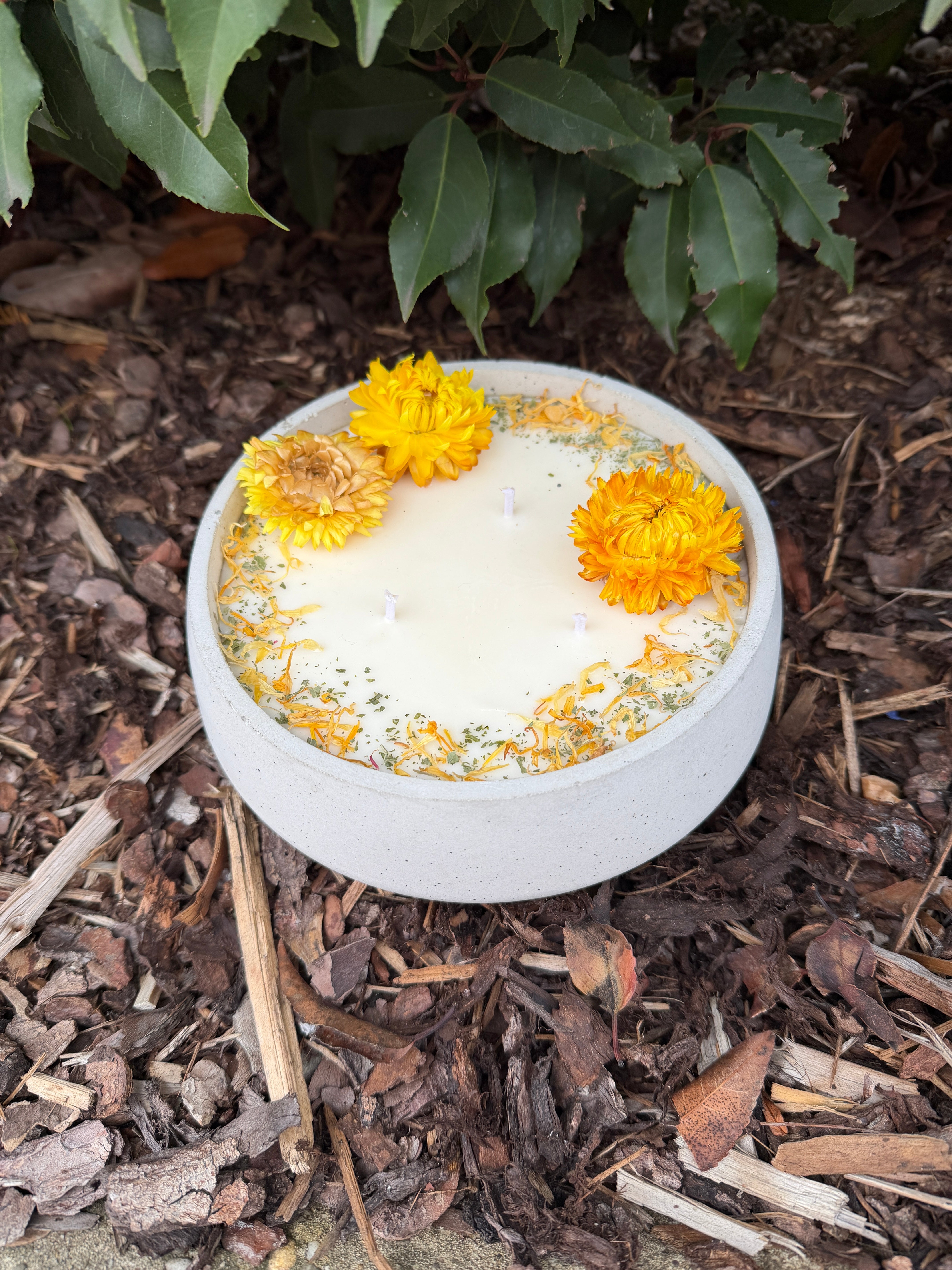 XL Citronella Outdoor Kerze in Betonschale – 3-Docht Antimücken Kerze mit echten Blüten – 520g Sojawachs