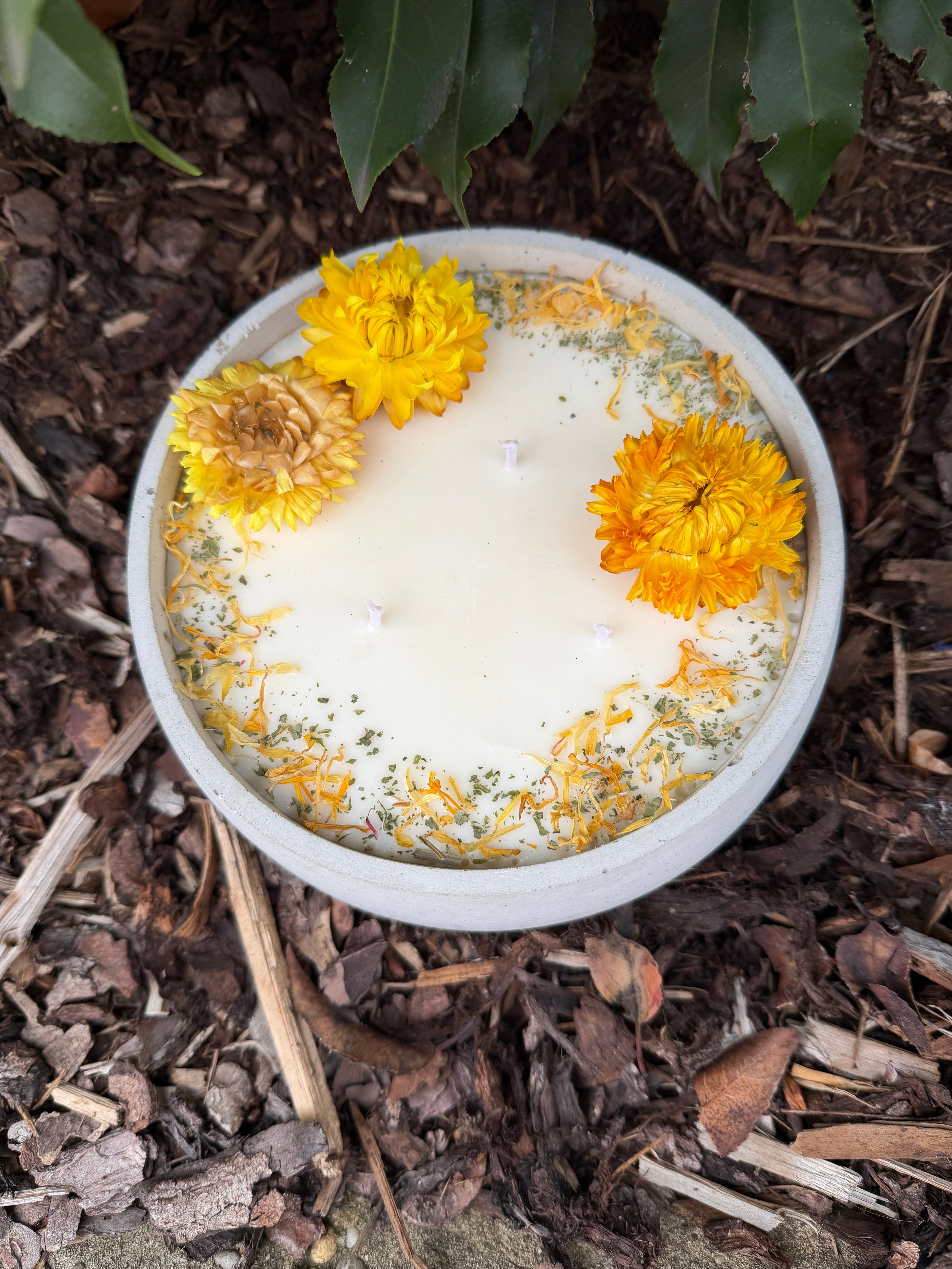 XL Citronella Outdoor Kerze in Betonschale – 3-Docht Antimücken Kerze mit echten Blüten – 520g Sojawachs