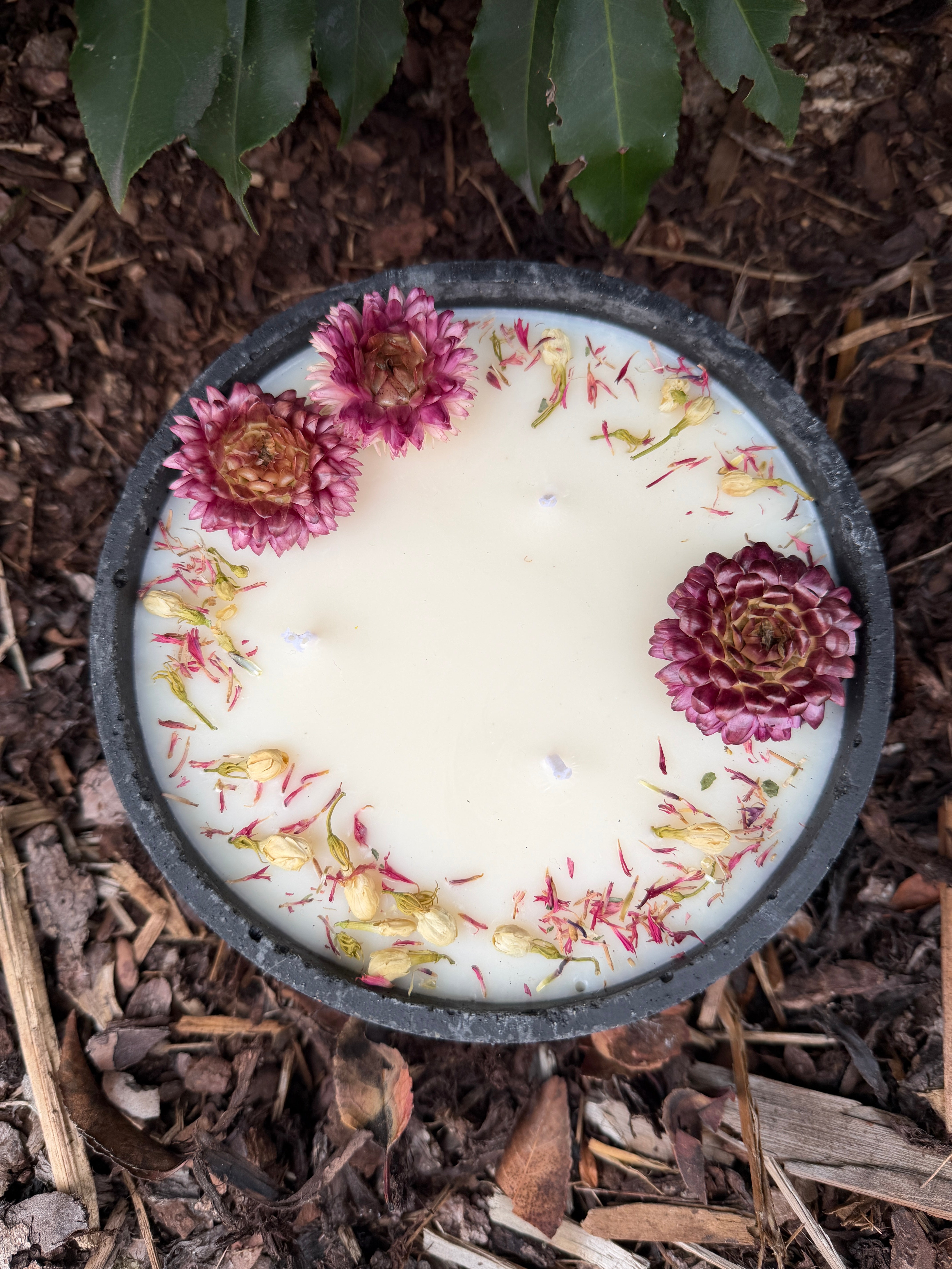 XL Betonkerze "Big Bloom" | 3-Docht & Blüten | 18cm | Handgegossen