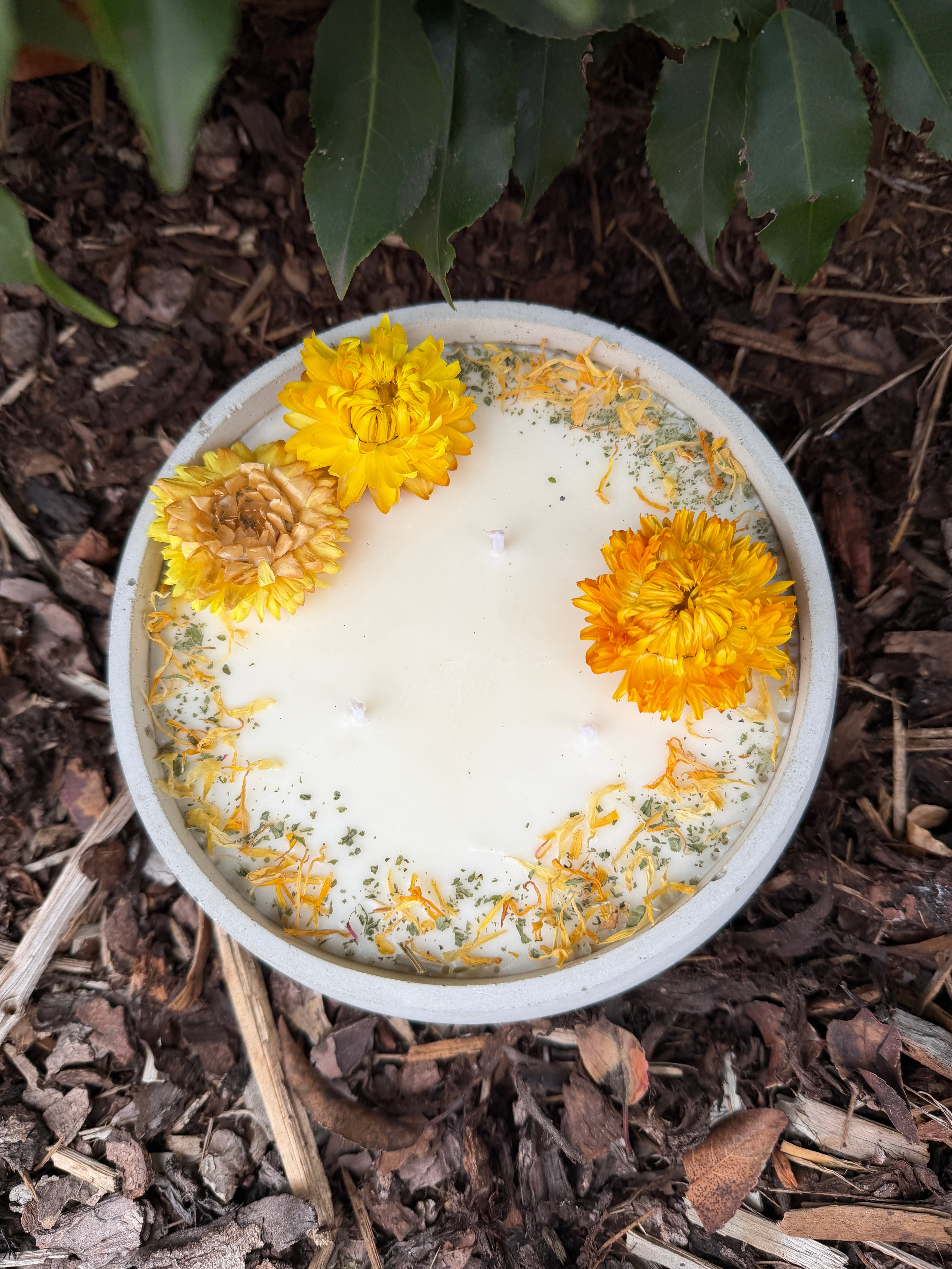 XL Citronella Outdoor Kerze in Betonschale – 3-Docht Antimücken Kerze mit echten Blüten – 520g Sojawachs
